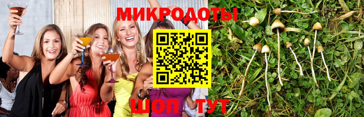 Псилоцибиновые грибы мицелий Усинск